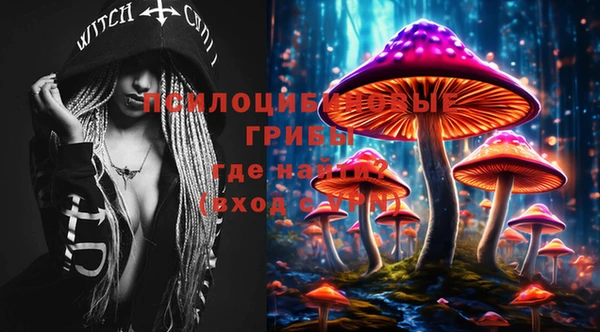 индика Дмитриев