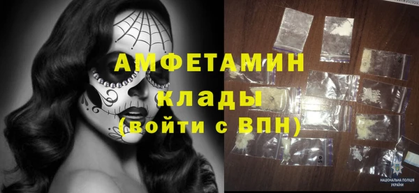 индика Дмитриев