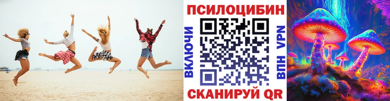 Галлюциногенные грибы GOLDEN TEACHER  Купить  Красный Холм 