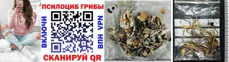 Псилоцибиновые грибы GOLDEN TEACHER Красный Холм