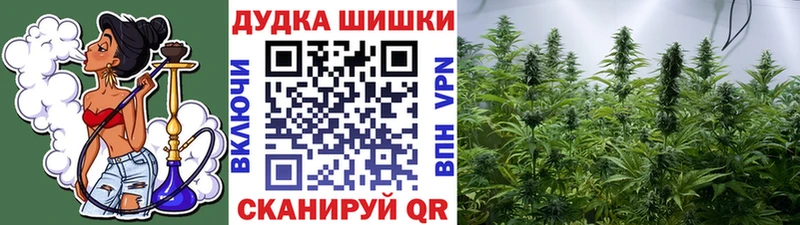 Купить где  Красный Холм  Марихуана Ganja 